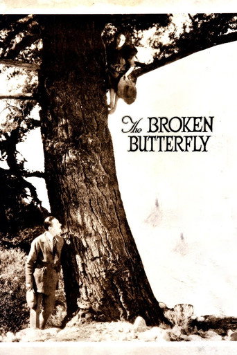 Movie poster for The Broken Butterfly (1919)