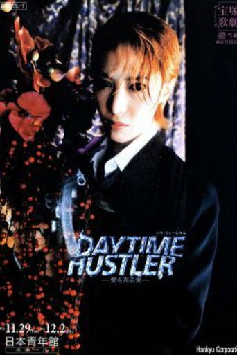 Daytime Hustler poster