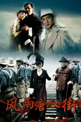 风雨唐人街 poster