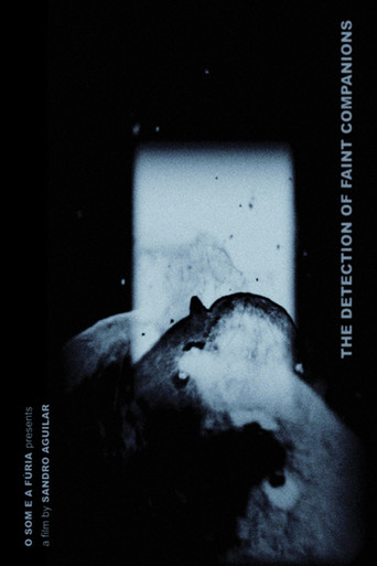 Movie poster for The Detection of Faint Companions (2021)