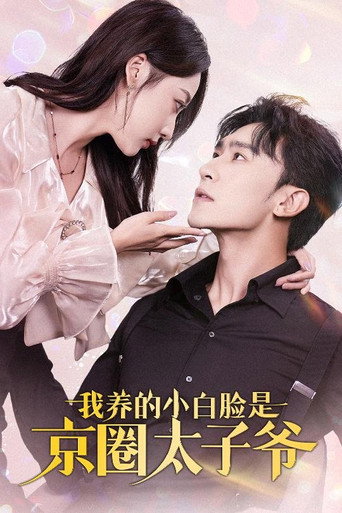 我养的小白脸是京圈太子爷 poster