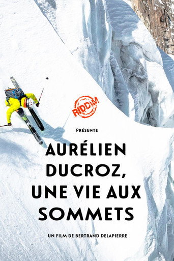 Movie poster for Une Vie aux Sommets (2020)