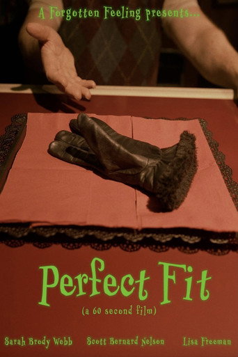 Movie poster for Perfect Fit (2025)