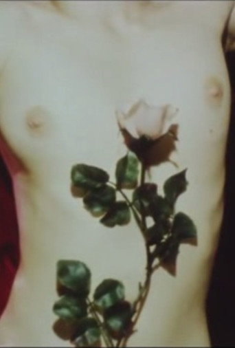 Movie poster for The Red Blue (1971)