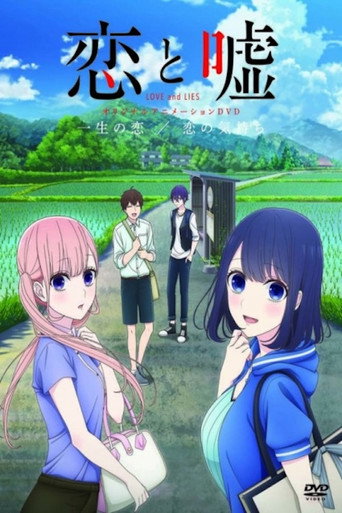 Movie poster for Love and Lies: Love of a Lifetime/Feelings of Love (2018)