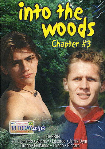 Movie poster for 18 Today International 16: Into the Woods 3 (2004)