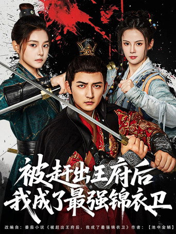 Series poster for 被赶出王府后我成了最强锦衣卫 (2025)