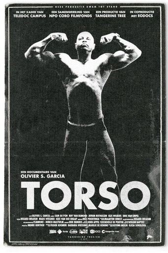 Movie poster for Torso (2018)