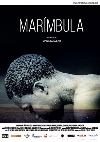 Movie poster for Marímbula (2016)