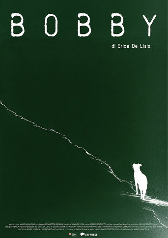Movie poster for Bobby