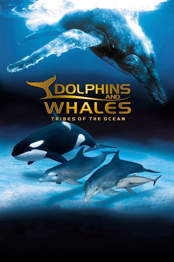 Movie poster for IMAX Dolphins and Whales: Tribes of the Ocean (2008)