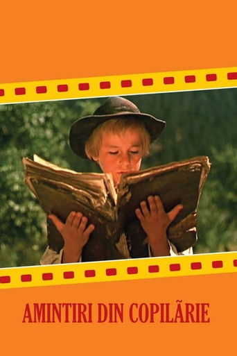 Memories of My Childhood poster