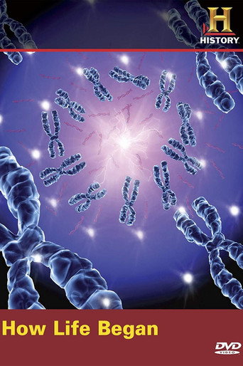 Movie poster for How Life Began (2009)