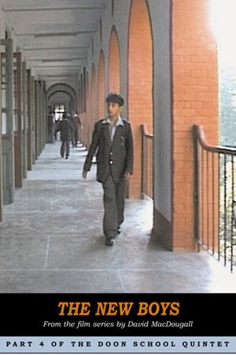 Movie poster for The New Boys (2003)