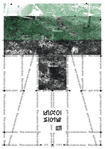 When Mushroom Blooms poster