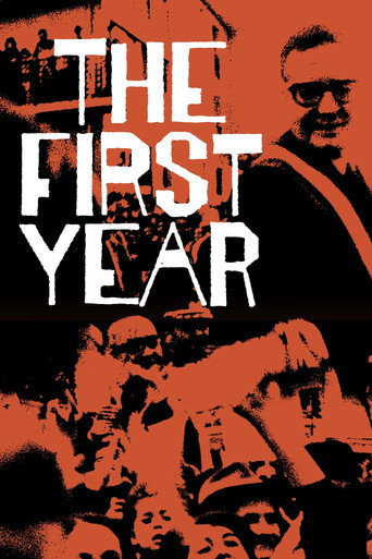 Movie poster for The First Year (1972)