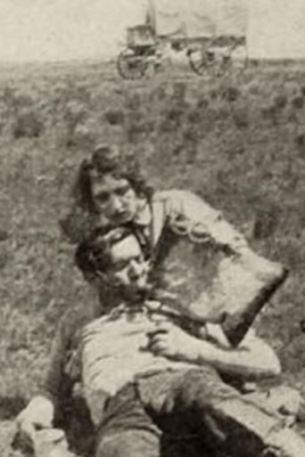 Movie poster for The Brave Deserve the Fair (1915)