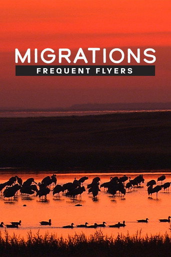 Movie poster for Migrations: Frequent Flyers (2020)