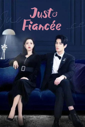 Just Fiancee poster