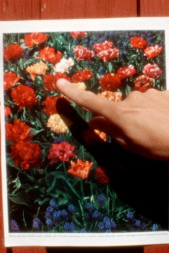 Movie poster for On Unshaped Dialogue