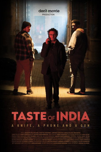 Movie poster for Taste of India (2025)