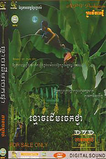 Movie poster for Ghost of Banana Tree (2004)