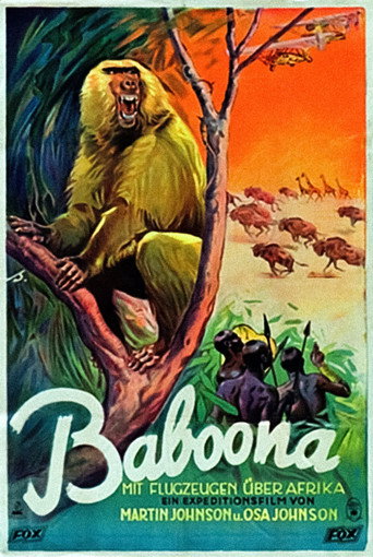 Movie poster for Baboona (1935)