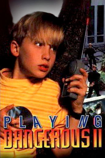 Playing Dangerous 2 poster