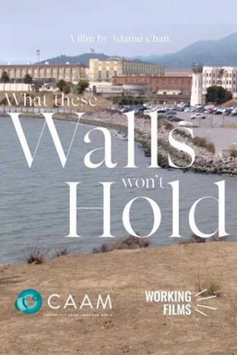 Movie poster for What These Walls Won't Hold (2022)