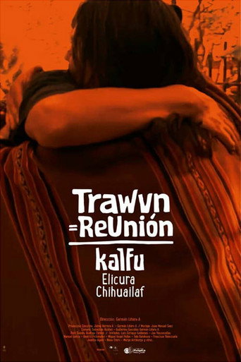 Movie poster for Trawun=ReUnión (2018)