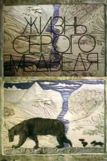 Movie poster for The Life Of A Grey Bear (1994)