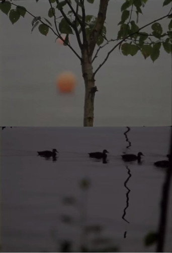 Movie poster for Cove (2012)