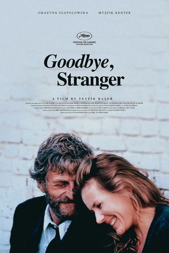 Goodbye Stranger poster