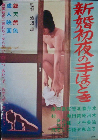 Movie poster for Shinkon shoya no tehodoki (1972)