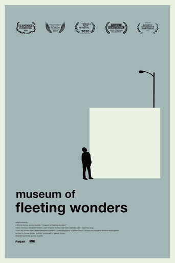 Movie poster for Museum of Fleeting Wonders (2020)