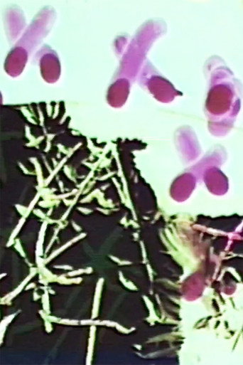Movie poster for Frottage/Dommage/Fromage 2 Vous (2008)