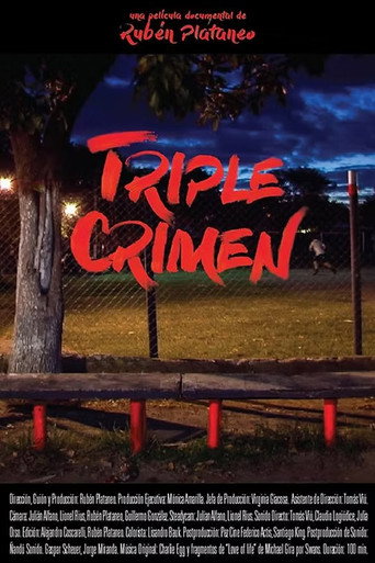Movie poster for Triple Crime (2017)
