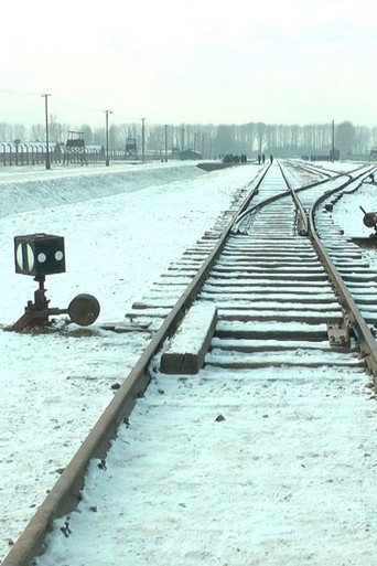 Movie poster for 19 876 Steps in Auschwitz / Birkenau (2017)