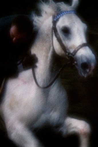 Movie poster for Horsey (2018)