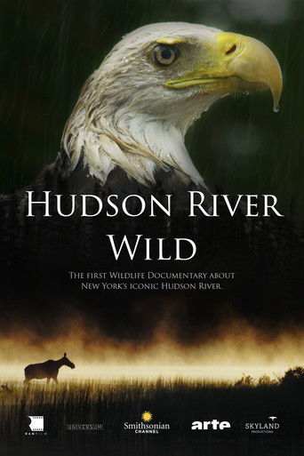 Hudson River Wild poster