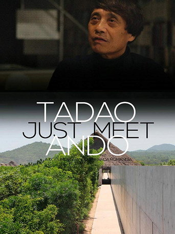 Movie poster for Just Meet (2019)