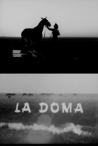 Movie poster for La doma (1969)