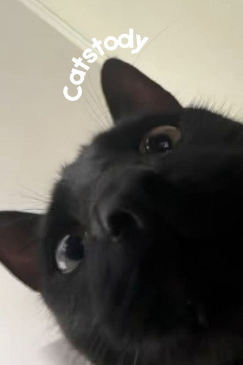 Movie poster for Catstody (2025)