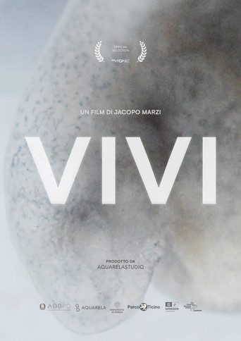 Movie poster for VIVI