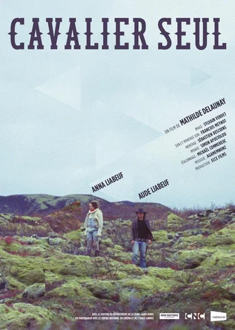 Movie poster for Cavalier seul (2015)