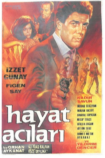 Movie poster for Hayat Acıları (1967)
