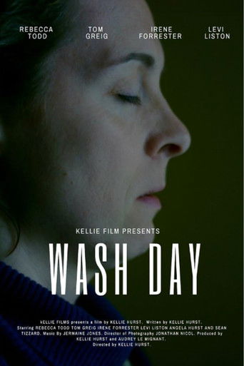 Wash Day poster