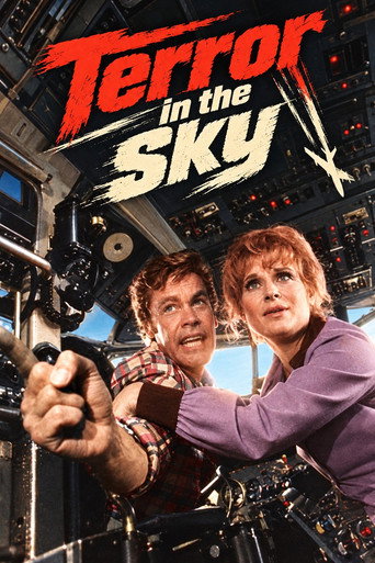 Movie poster for Terror in the Sky (1971)