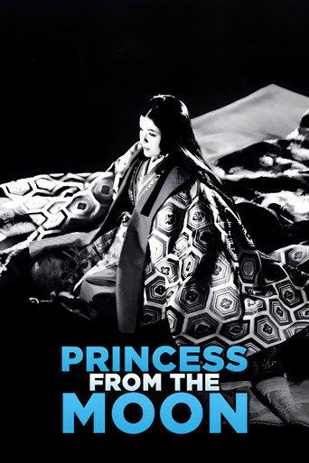 Movie poster for Princess from the Moon (1987)