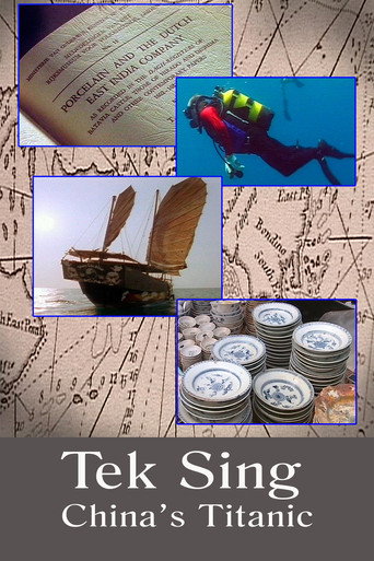 Movie poster for Tek Sing: China's Titanic (2011)